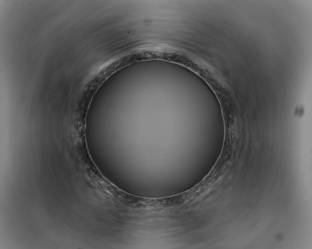 X0000101160822200807111026