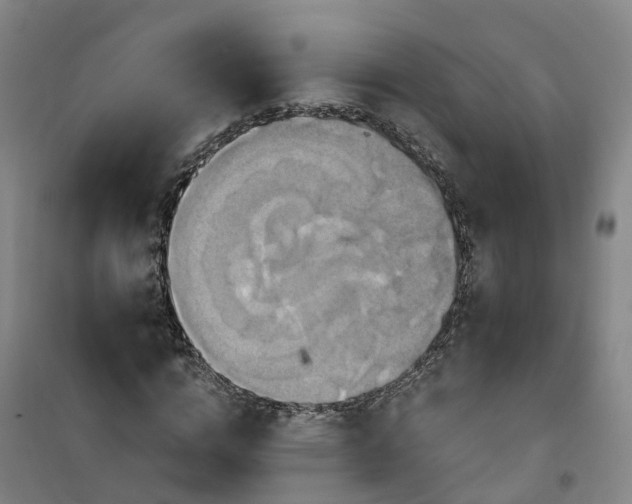 X0000101160824200807111026