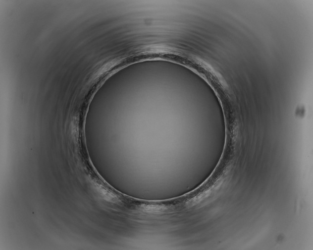 X0000101160825200807111026