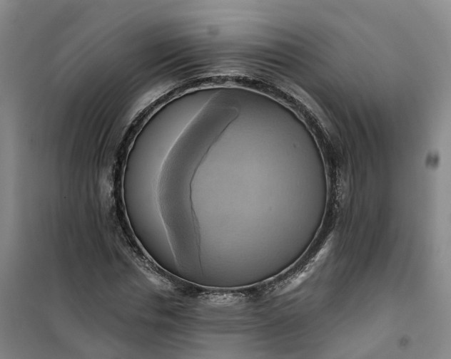 X0000101160826200807111026