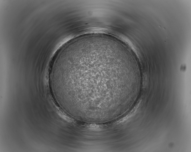 X0000101160827200807111026