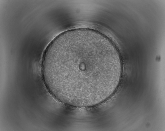 X0000101160828200807111026