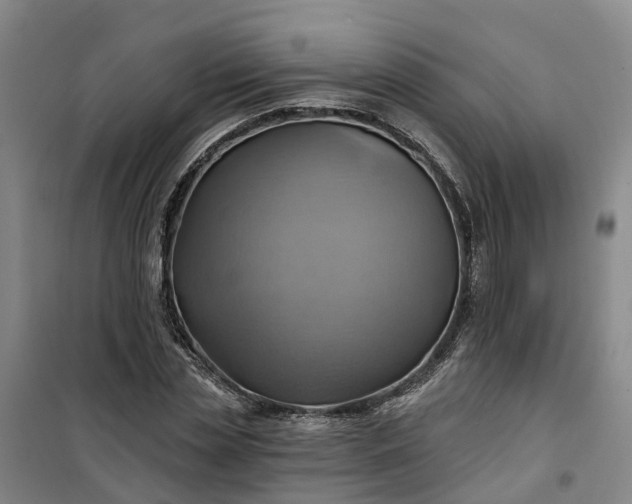 X0000101160829200807111026