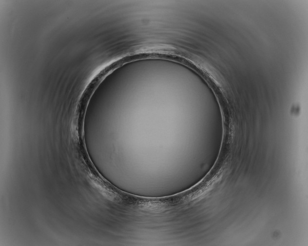 X0000101160830200807111026