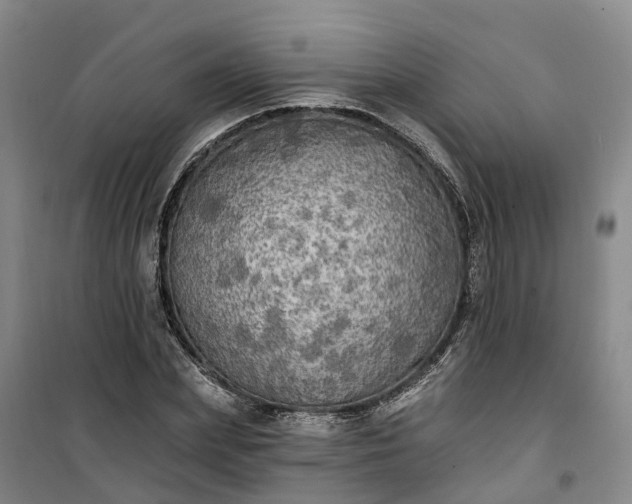 X0000101160831200807111026