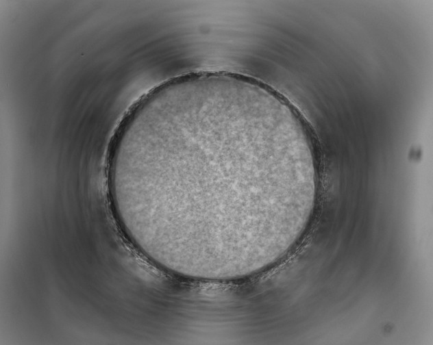 X0000101160832200807111026