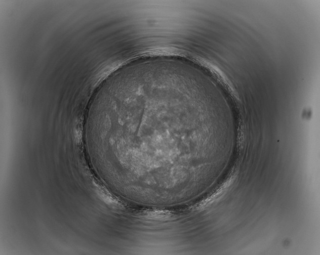 X0000101160833200807111027