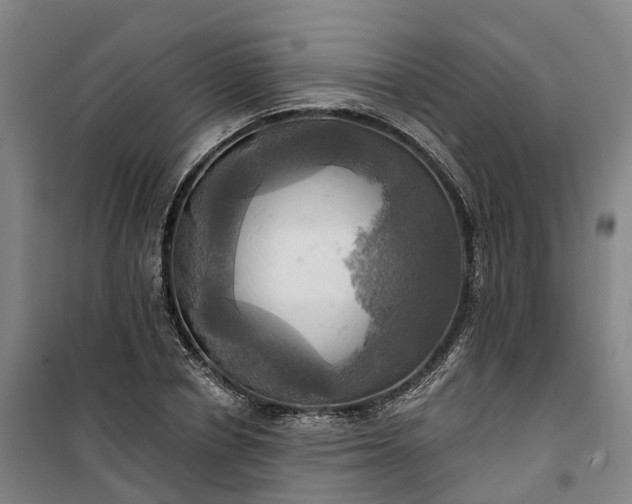 X0000101160834200807111027