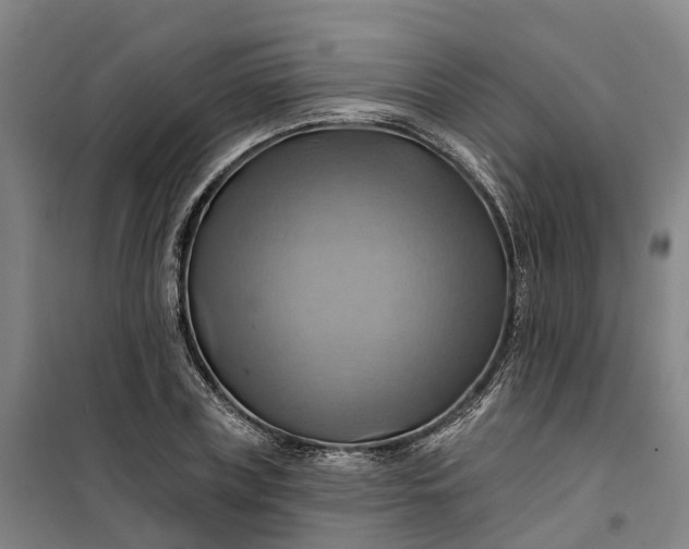 X0000101160835200807111027