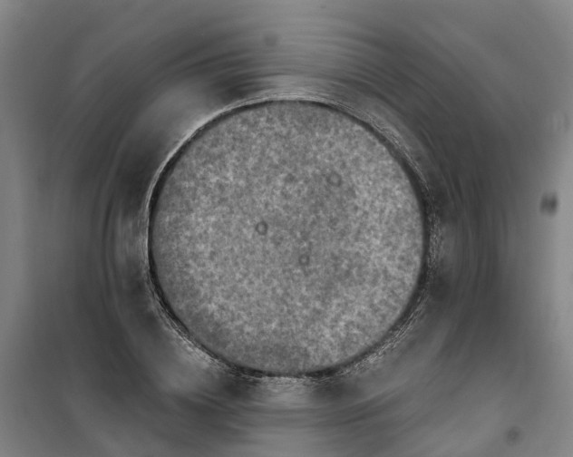 X0000101160836200807111027