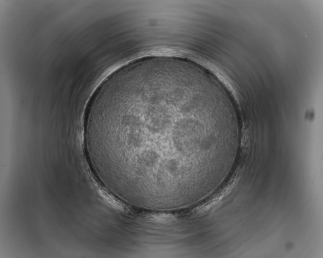 X0000101160837200807111027