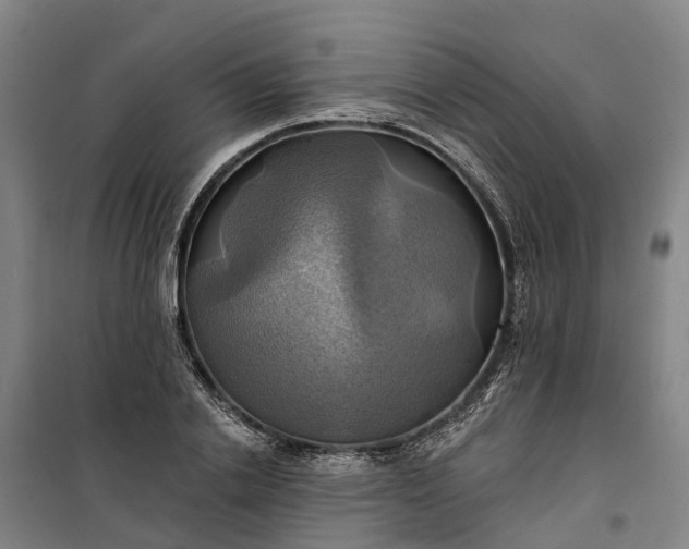 X0000101160838200807111027