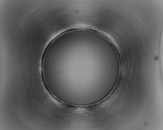 X0000101160839200807111027