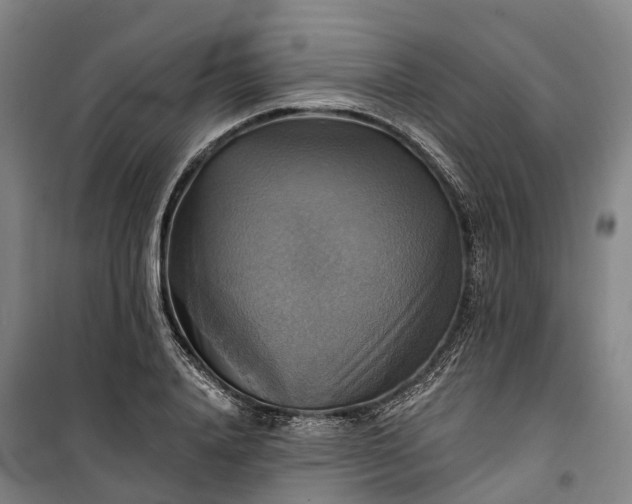 X0000101160840200807111027