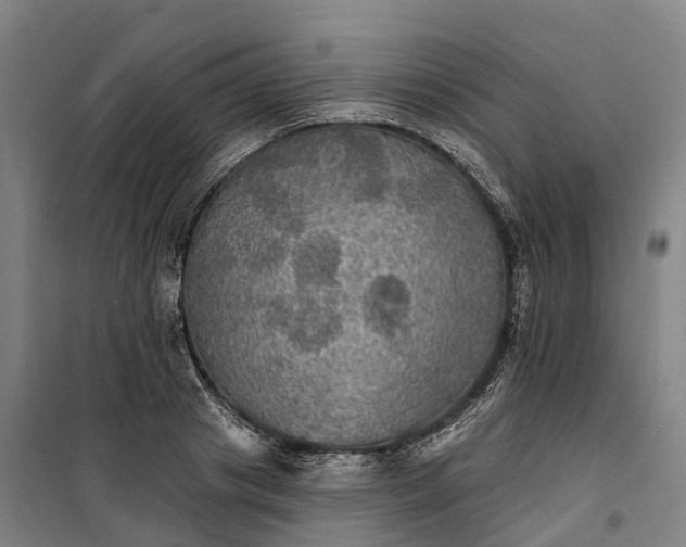 X0000101160841200807111027