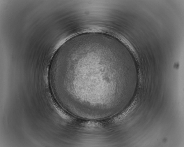 X0000101160842200807111027