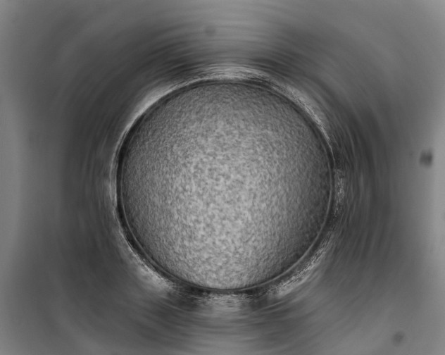 X0000101160843200807111027