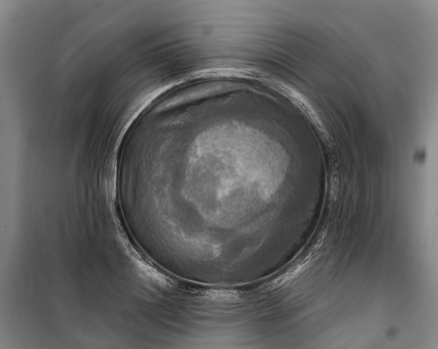 X0000101160844200807111027