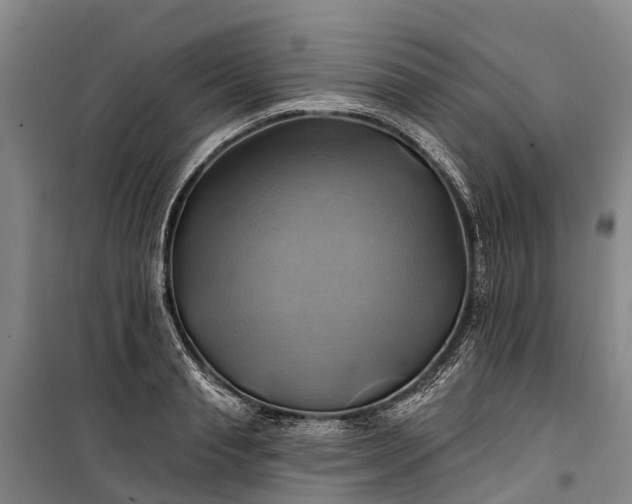 X0000101160845200807111027