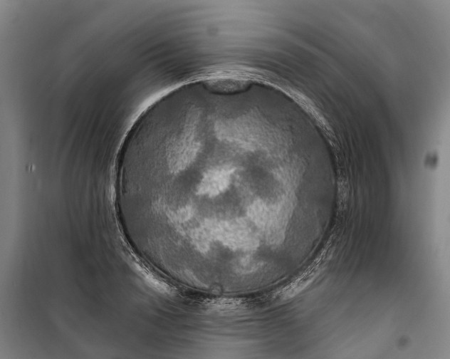 X0000101160846200807111027