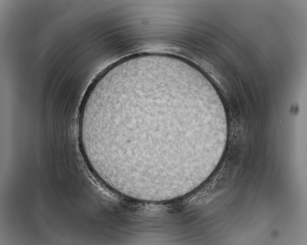 X0000101160848200807111027