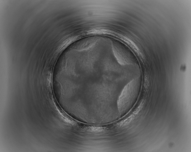 X0000101160849200807111027