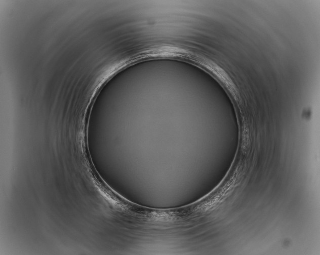 X0000101160850200807111027