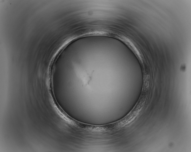 X0000101160851200807111027