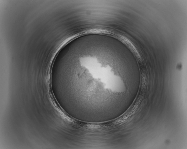 X0000101160852200807111027