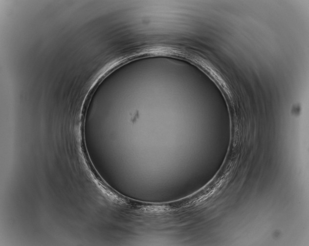 X0000101160853200807111027