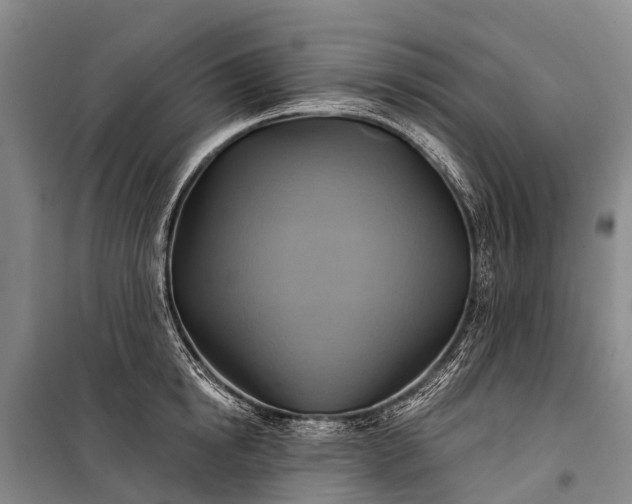 X0000101160854200807111027