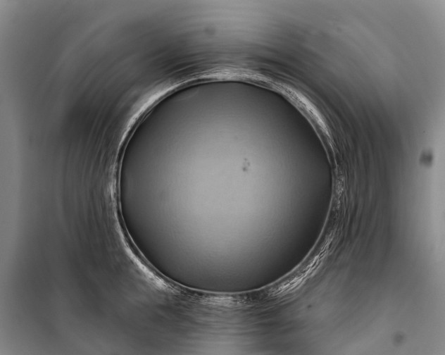 X0000101160855200807111027