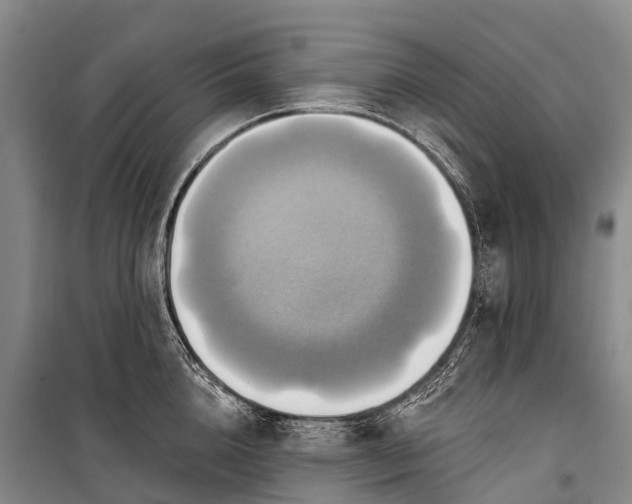 X0000101160856200807111027