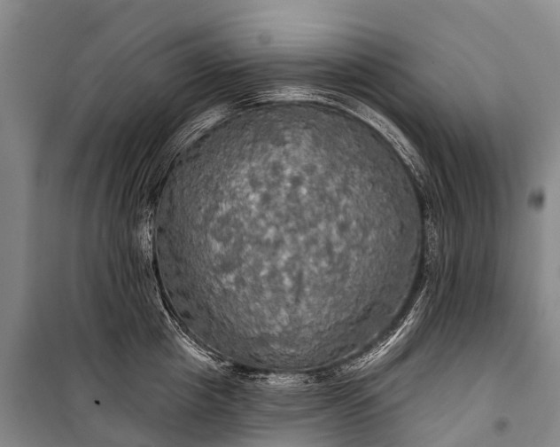 X0000101160857200807111027