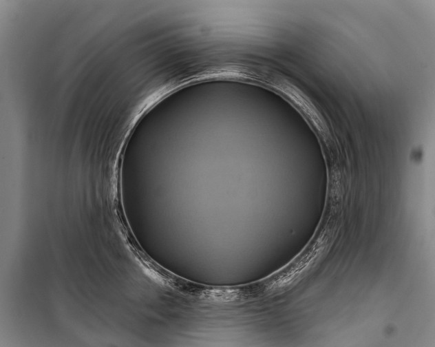 X0000101160858200807111027