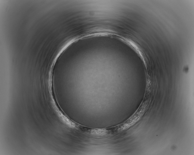 X0000101160859200807111027