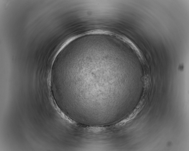 X0000101160860200807111027