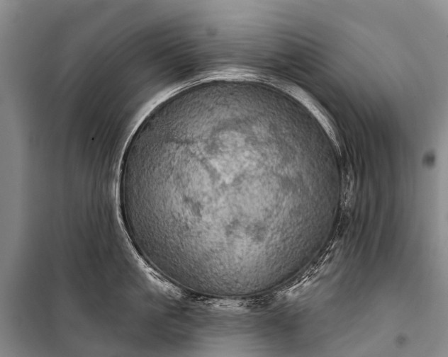 X0000101160861200807111027