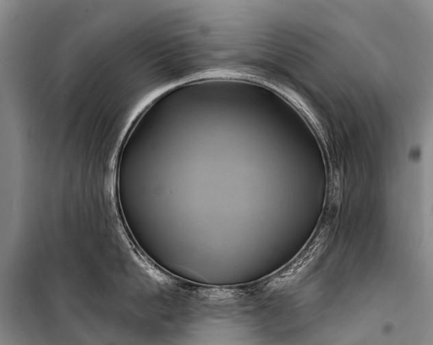 X0000101160862200807111027