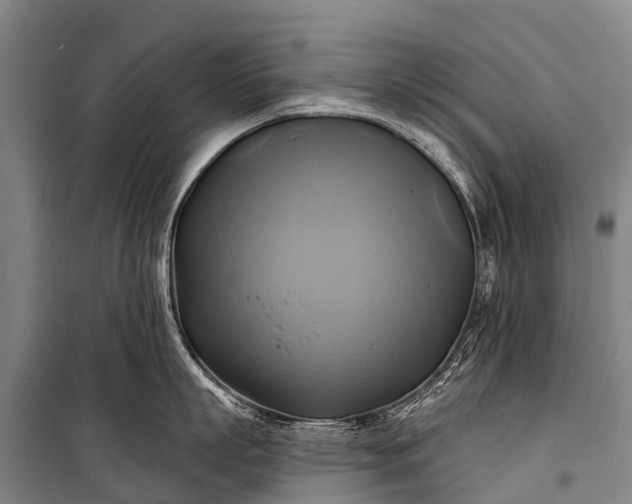 X0000101160863200807111027