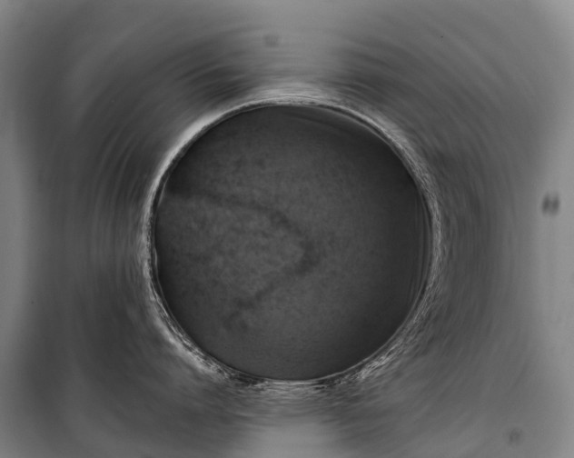 X0000101160864200807111027