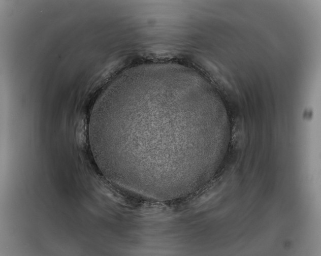 X0000101160866200807111026