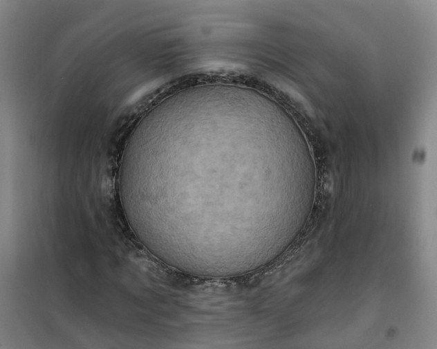 X0000101160869200807111026