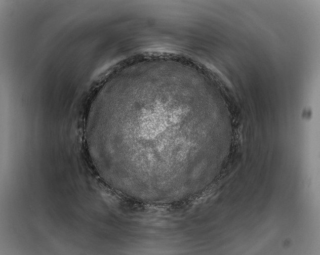 X0000101160870200807111026