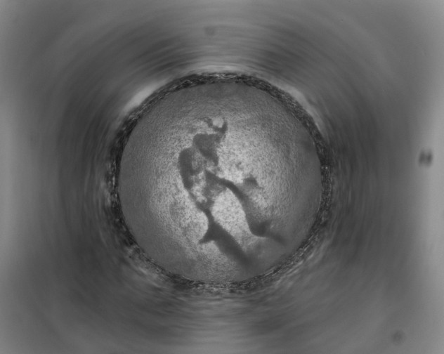 X0000101160871200807111026