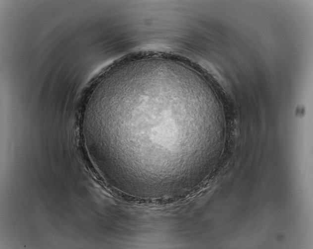 X0000101160872200807111026