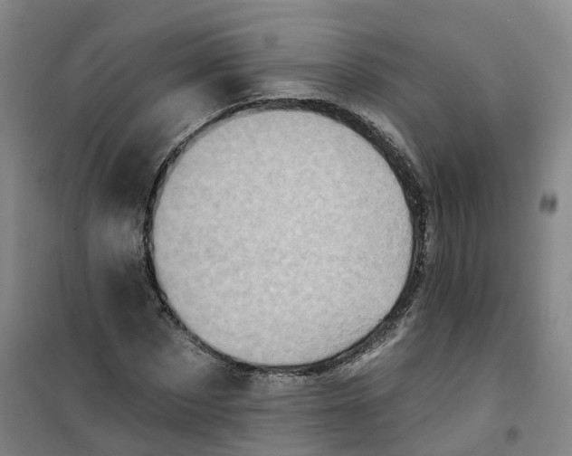 X0000101160873200807111026