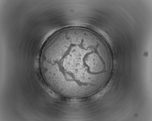 X0000101160875200807111026