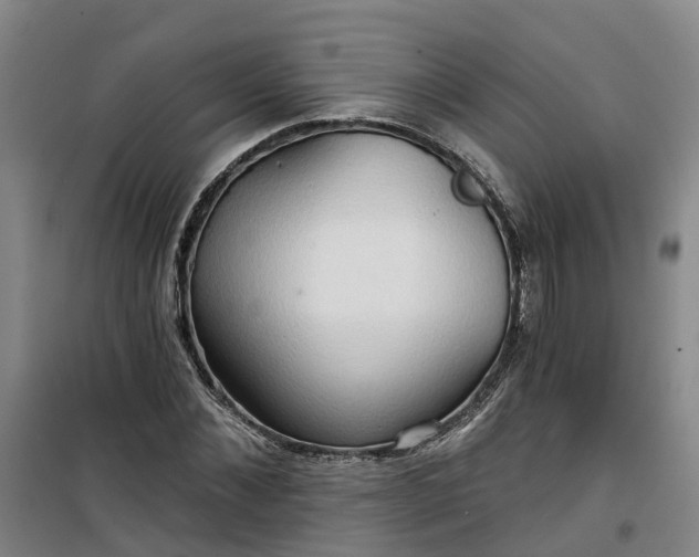 X0000101160876200807111026