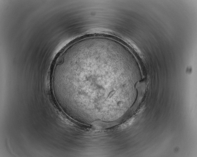 X0000101160877200807111026